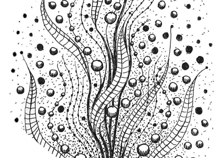 Zentangle Bubble 2023